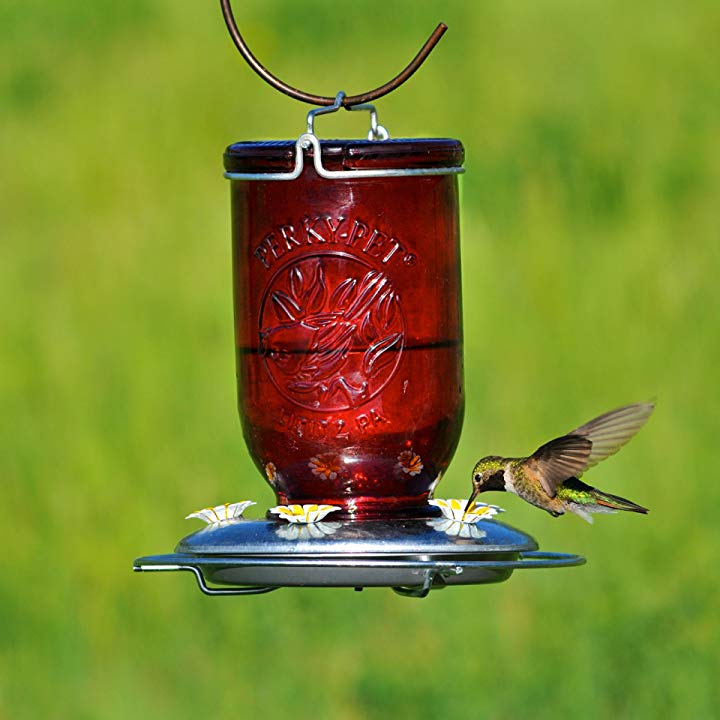 Perky Pet Hummingbird Feeder Mason Jar