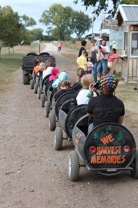 Here is a list of some of the best pumpkin patches, corn mazes & Halloween Trains in the Western US.Check out our Eastern & Central US best pumpkin patches. 