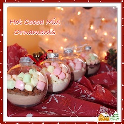 I made a Chocolate Raspberry, Chocolate Cinnamon, Pumpkin Spice and Chocolate Peppermint hot cocoa mix ornaments. I added chocolate chips & marshmallows.