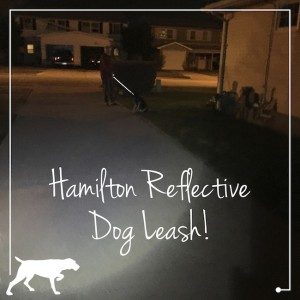 When walking the dog at night, we use the Hamilton Reflective Dog Leash in order to be seen in the dark. There is no doubt that cars will see us.