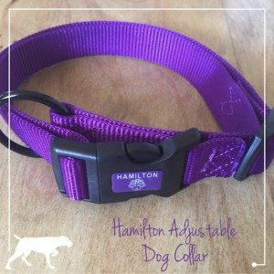 The adjustable dog collar is made of durable nylon. We ordered the large size for dogs with an 18 to 26 inch neck and she has plenty of room to grow.