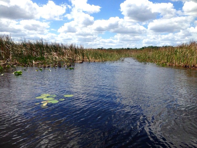Boggy Creek Airboat Rides started in 1994 with a 6 passenger boat. They have since opened a 2nd location & have 8-17-passenger boats & 4-6-passenger boats.