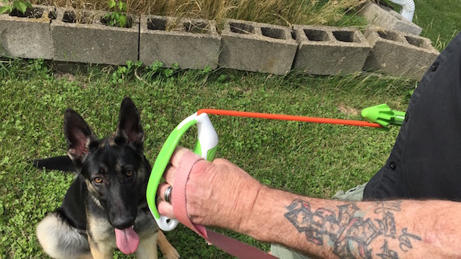 Dogs love to fetch, it's just part of their natural instinct, so why not give them something fun to fetch? Like the Chuckit! Ultra Sling and Ultra Dart!