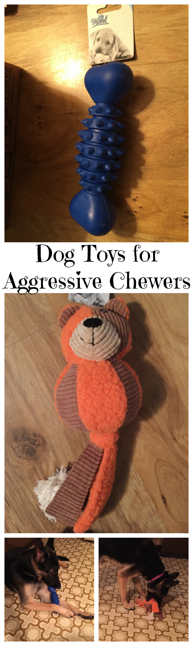 Dogs can never have too many toys. If your dog is like Harley, she goes through dog toys like crazy. Always trying to wreck them and ripping them apart.