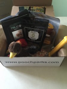 Pooch Perks is a different monthly subscription box because it isn't for you or your kids (they could be called your kids though)...it's for your pooch!