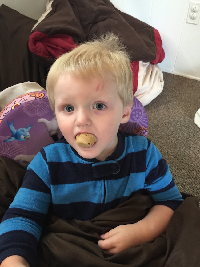 Lil' Bits Strawberry Muffins are made with a secret ingredient & are very moist. This is the perfect healthy choice recipe that everyone will love!