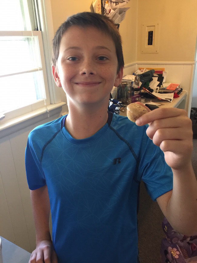 Lil' Bits Strawberry Muffins are made with a secret ingredient & are very moist. This is the perfect healthy choice recipe that everyone will love!