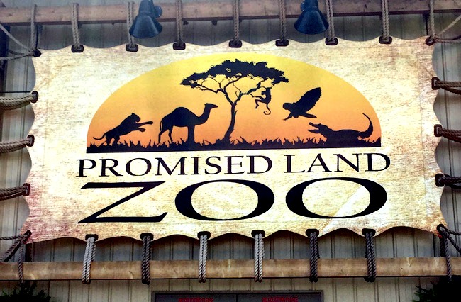 The Promised Land Zoo has much more than just animals. A regular admission includes a foot safari, bottle feedings, and the live animal show.