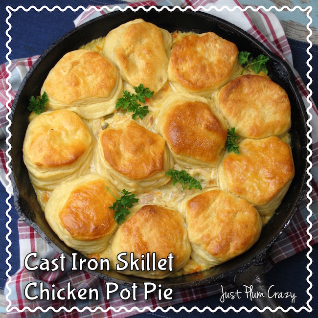 Cast Iron Skillet Chicken Pot Pie Recipe | Just Plum Crazy