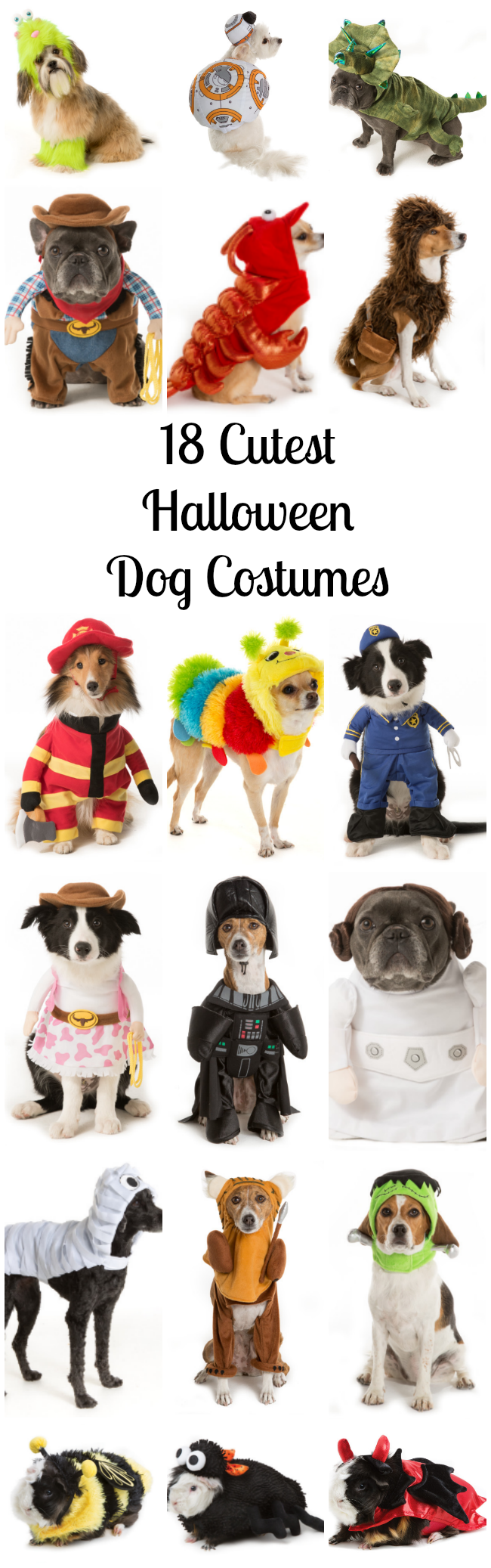 Here is a list of the 10 cutest Halloween Dog Costumes (in my opinion) that you can still get in plenty of time for Halloween. Some are just too cute! 
