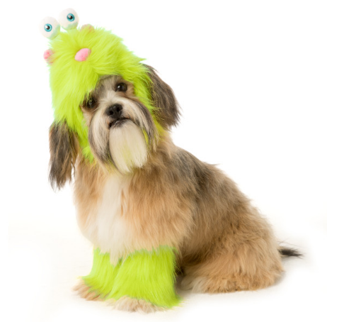 Here is a list of the 10 cutest Halloween Dog Costumes (in my opinion) that you can still get in plenty of time for Halloween. Some are just too cute! 