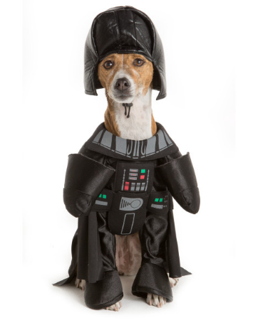 Here is a list of the 10 cutest Halloween Dog Costumes (in my opinion) that you can still get in plenty of time for Halloween. Some are just too cute! 