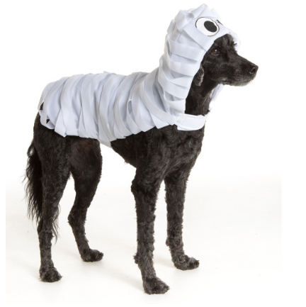 Here is a list of the 10 cutest Halloween Dog Costumes (in my opinion) that you can still get in plenty of time for Halloween. Some are just too cute! 