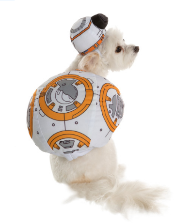 Here is a list of the 10 cutest Halloween Dog Costumes (in my opinion) that you can still get in plenty of time for Halloween. Some are just too cute! 