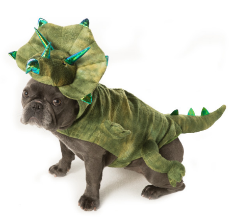 Here is a list of the 10 cutest Halloween Dog Costumes (in my opinion) that you can still get in plenty of time for Halloween. Some are just too cute! 