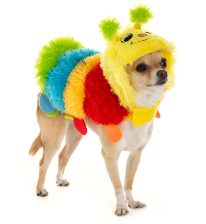 Here is a list of the 10 cutest Halloween Dog Costumes (in my opinion) that you can still get in plenty of time for Halloween. Some are just too cute! 