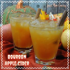 I know some of you are getting snow and the Bourbon Apple Cider Cocktail recipe is a nice adult beverage to sit around the fire with.