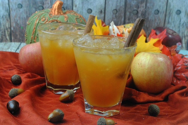 I know some of you are getting snow and the Bourbon Apple Cider Cocktail recipe is a nice adult beverage to sit around the fire with. 