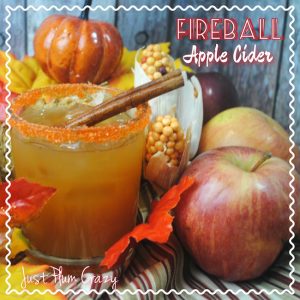 Here's a little Fireball Apple Cider recipe that will surely warm you up on a cold crisp evening. And I don't mean "warm" in the sense of microwave.