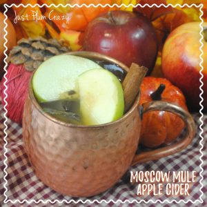 Who doesn't love a good old fashioned Moscow Mule Apple Cider Recipe? Well that's what we are sharing with you today and there is much more to come.