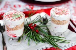 This Festive Cranberry Whip recipe is perfect for those that love cranberries. Also the perfect recipe for when you have that leftover cranberry sauce.