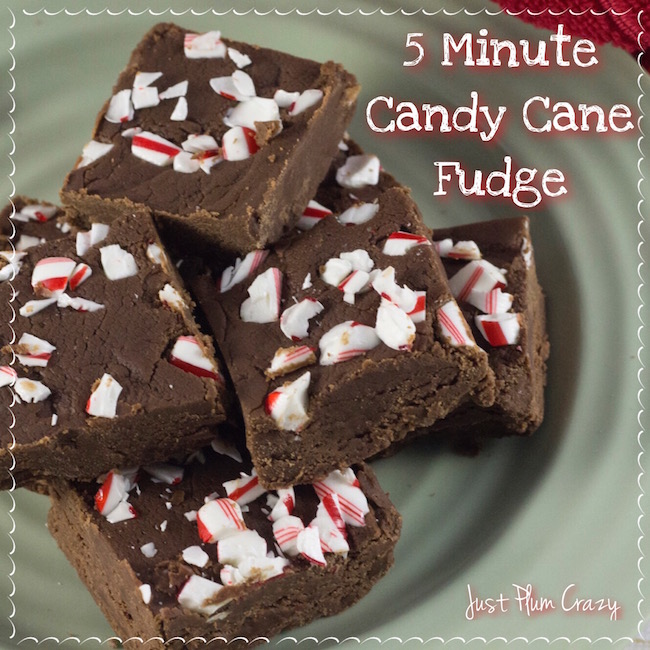 Why not make some quick & easy 5 Minute Candy Cane Fudge Recipe with your leftover candy canes for your New Year's Eve gathering.