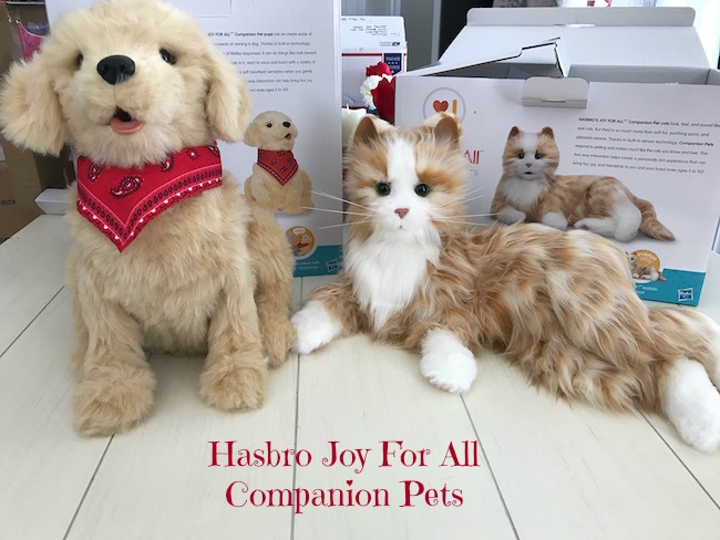 Joy for all cat and dog from Hasbro