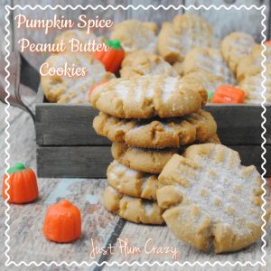 Pumpkin and Peanut Butter...yes please! It's still pumpkin season in our house, so today we are sharing a Pumpkin Spice Peanut Butter Cookie recipe.