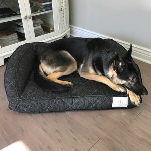 The Brentwood Home Deluxe Pet Bed is an orthopedic cushion that protects their joints with side and back supports & makes her feel cradled & comfortable.