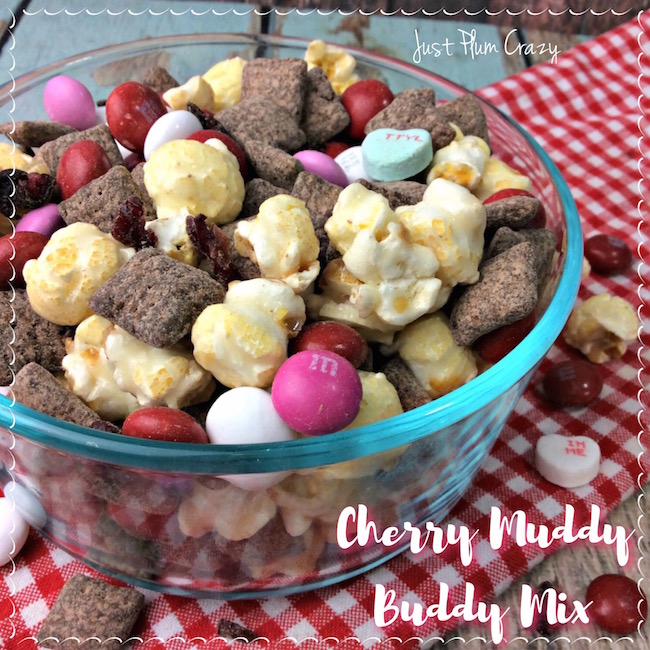 Here we have another easy Valentine's Day Treat with a Cherry Muddy Buddy Mix Recipe. If you can't tell by now...I love easy recipes.