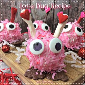 I may be impartial but I think the Valentine's Day Love Bug recipe is the cutest thing. The kid's love them when I send them into school with them.