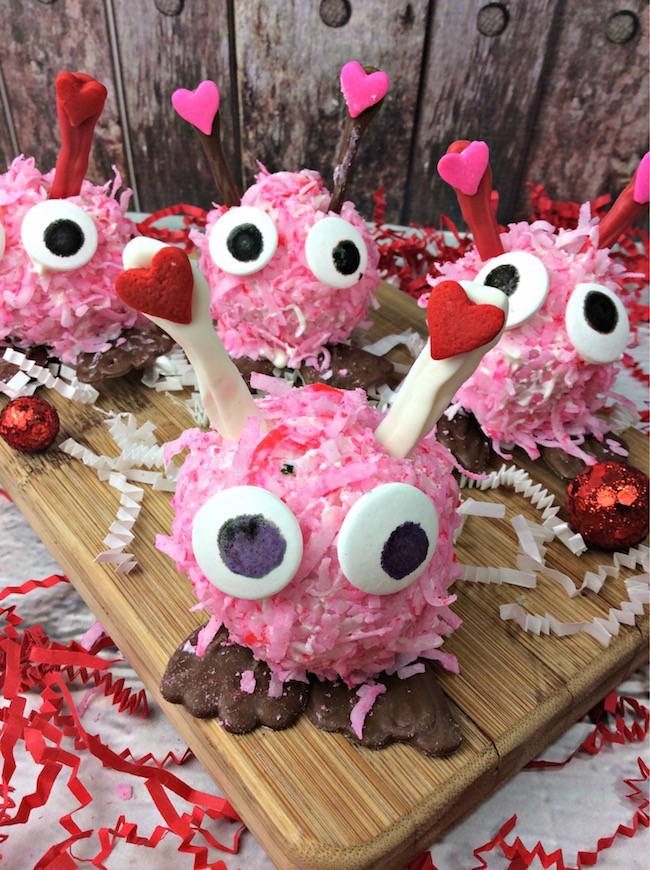 I may be impartial but I think the Valentine's Day Love Bug recipe is the cutest thing. The kid's love them when I send them into school with them.