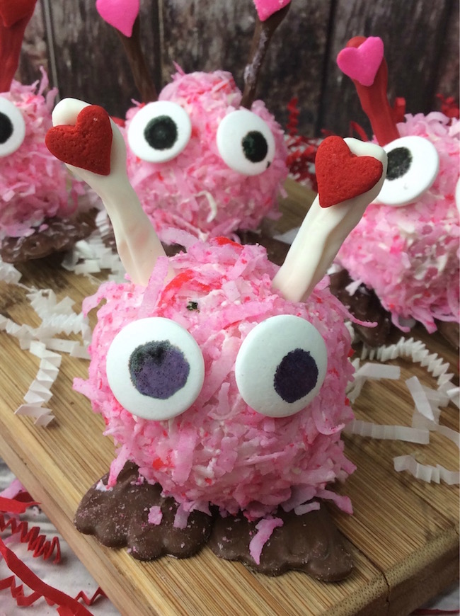 I may be impartial but I think the Valentine's Day Love Bug recipe is the cutest thing. The kid's love them when I send them into school with them.