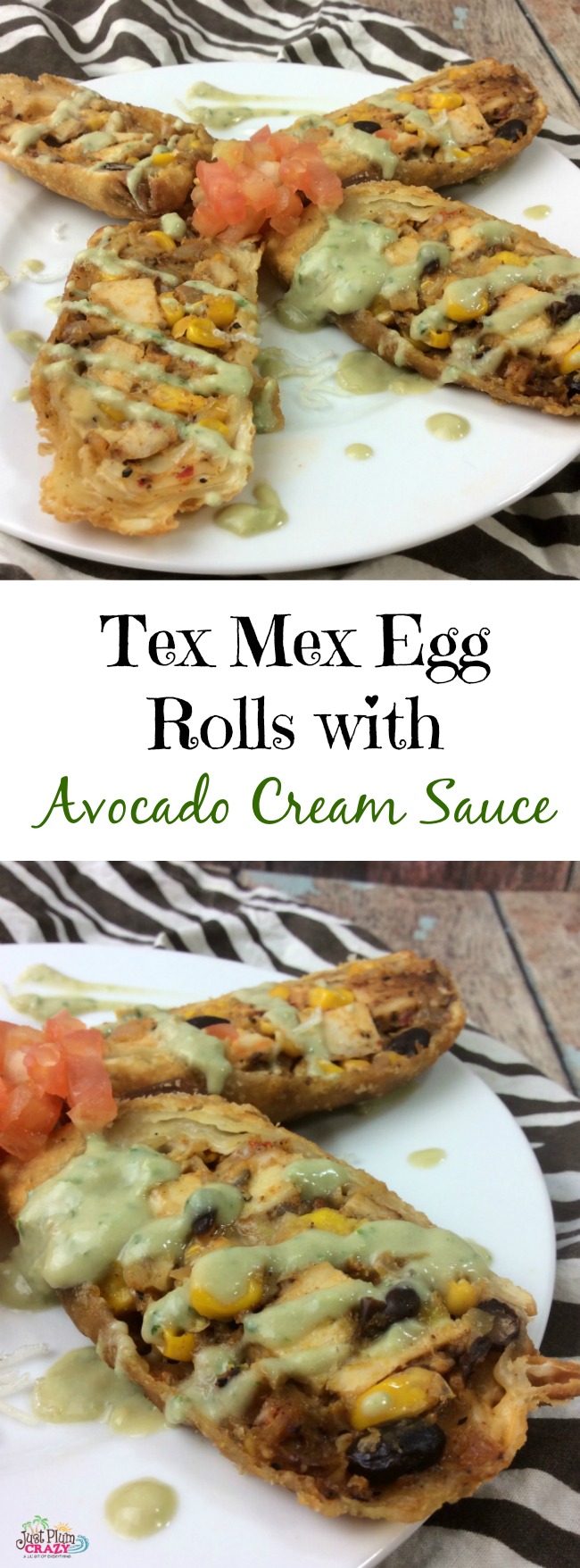 The Tex Mex Egg Rolls recipe is perfect for game day. You can buy the small taco shells and make a dozen that are the perfect finger food.