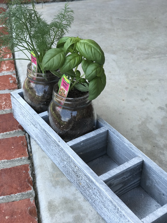 DIY Indoor Window Herb Garden | Just Plum Crazy