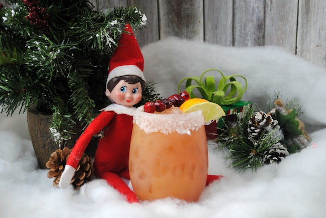 Elf on the Shelf with his cranberry orange margarita. 