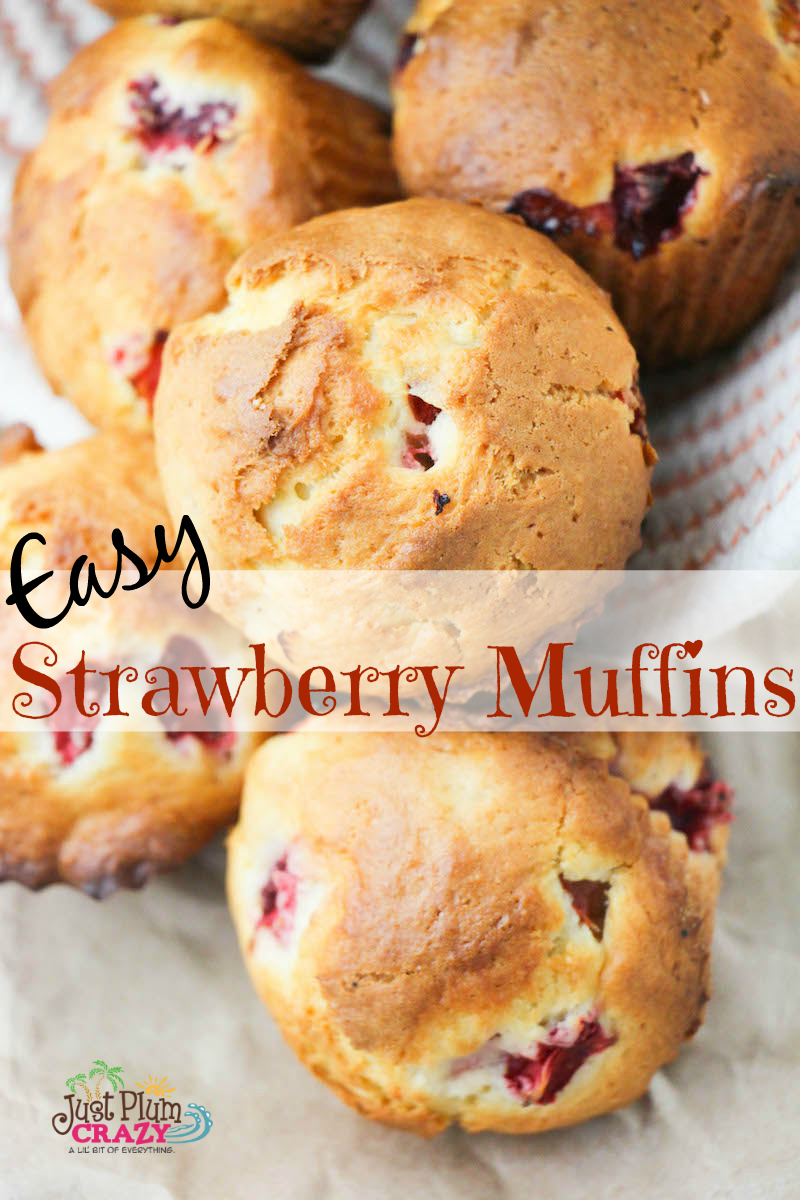 It's almost strawberry season here in the Northeast so I'm going to be sharing a few of my family's favorite strawberry recipes like this Easy Strawberry Muffins Recipe. That's one of the great things about traveling...I get to be in strawberry season from early March until late June.