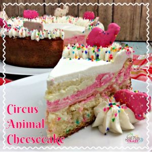 It's here! National Cheesecake Day! From plain Jane to downright fancy, like our Circus Animal Cheesecake Recipe, there is a cheesecake recipe for everyone.