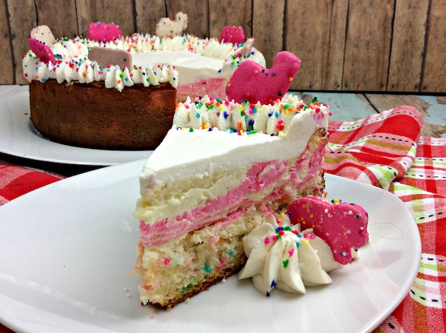 It's here! National Cheesecake Day! From plain Jane to downright fancy, like our Circus Animal Cheesecake Recipe, there is a cheesecake recipe for everyone.