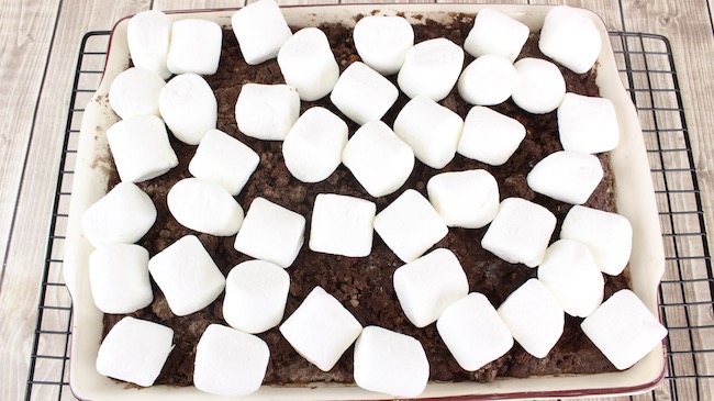 Whether you are looking for an easy dump cake recipe, s'mores cobbler, or chocolate s'mores cake, the S'mores Dump Cake recipe fits the bill. 