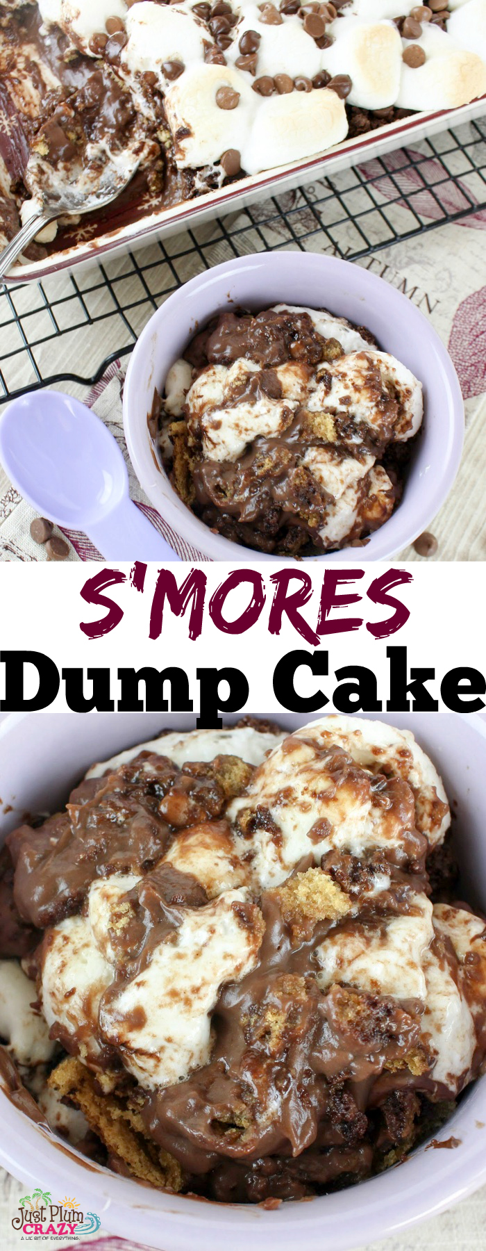 Whether you are looking for an easy dump cake recipe, s'mores cobbler, or chocolate s'mores cake, the S'mores Dump Cake recipe fits the bill. 