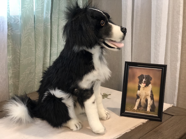 Petsies are created from a photo of your pet. Whether you have a dog, cat, horses, rat, or bird all it takes is a picture.