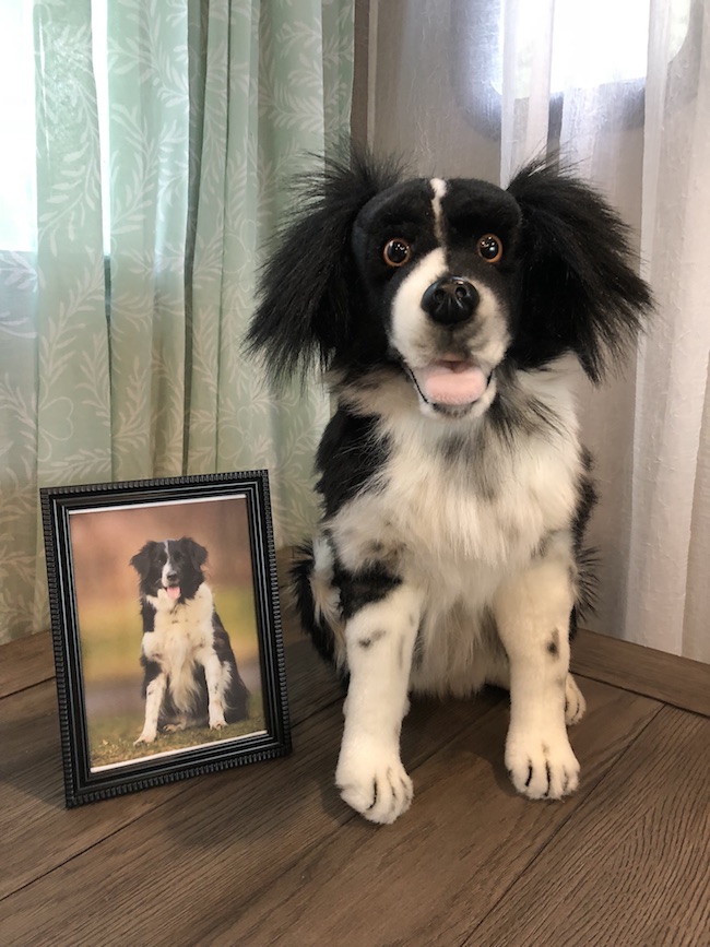 Petsies are created from a photo of your pet. Whether you have a dog, cat, horses, rat, or bird all it takes is a picture.
